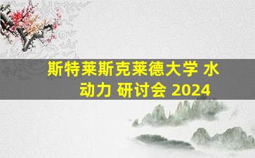 斯特莱斯克莱德大学 水动力 研讨会 2024